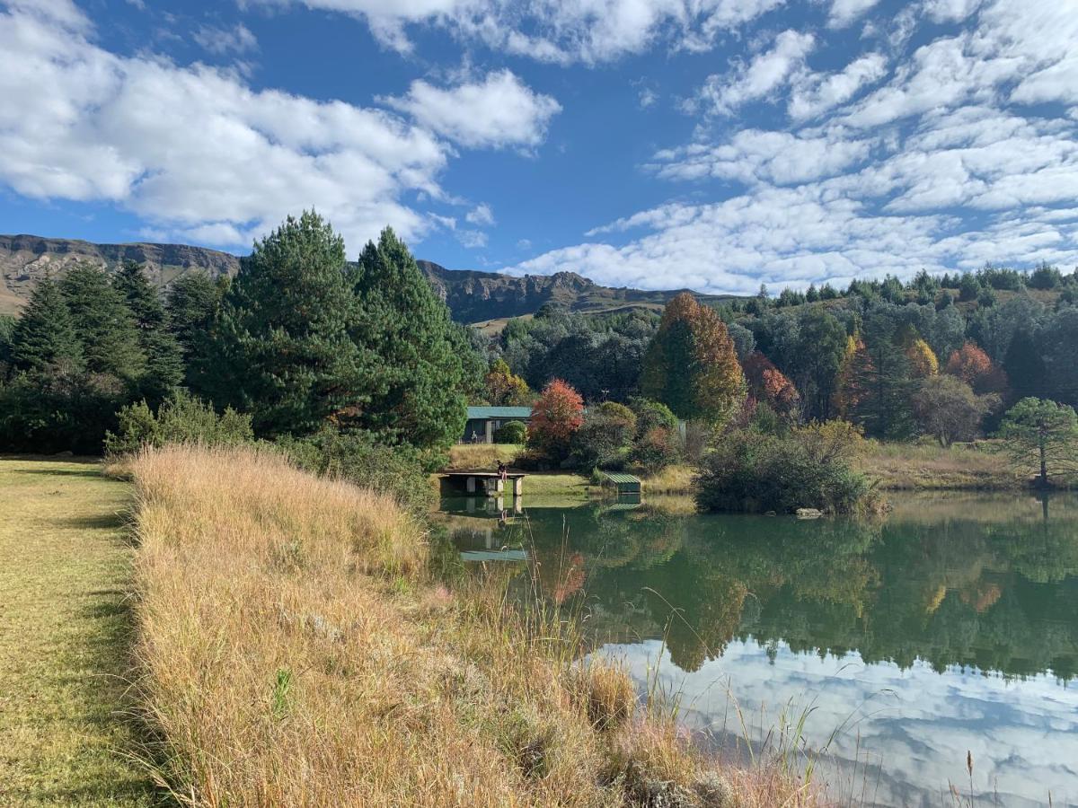 Brackenburn Trout And Trail Retreat Apartment Elandskop Екстериор снимка