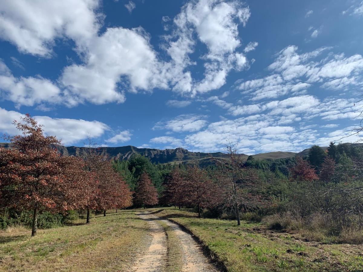 Brackenburn Trout And Trail Retreat Apartment Elandskop Екстериор снимка