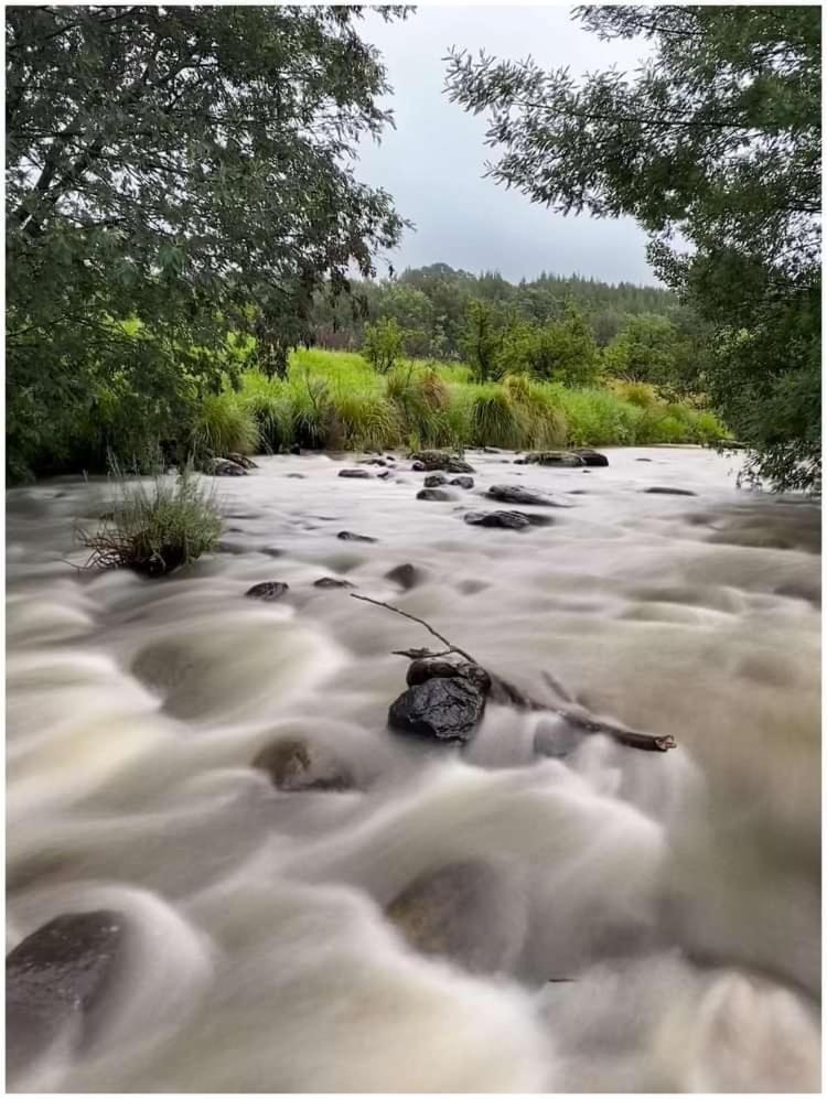 Brackenburn Trout And Trail Retreat Apartment Elandskop Екстериор снимка